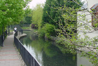 Camlas Pontardawe
