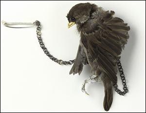 SparrowBroochblog.gif