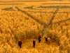ep1_cropcircle