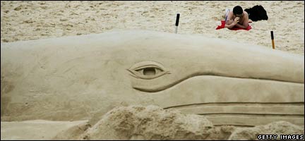 whalegetty432.jpg