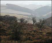 Exmoor