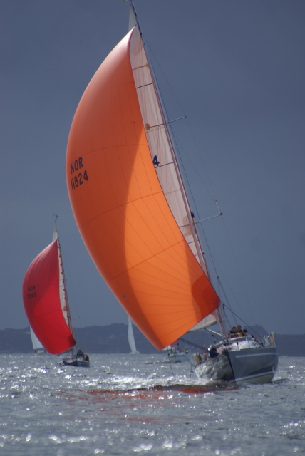 Spinnakers aplenty!