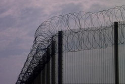 Barbed wire
