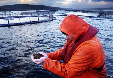 Fish farm