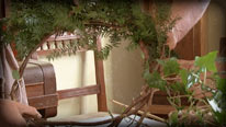 Add foliage