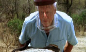 David Attenborough approaches a spitting cobra
