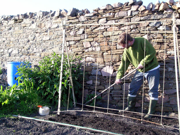 Hired help