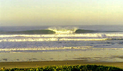 El Palmar