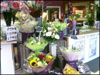 Penny Lane Flowers