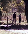 A Walk in the Woods by J Woods