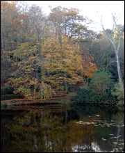 Millbrook Reservoir
