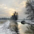 Rare Winter Snow