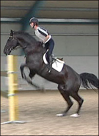 Ben Maher