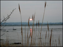 Dawn at Fingringhoe