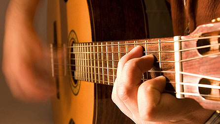 Guitar