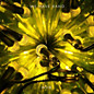 Review of WHB Review of WHB