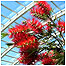 Parkland activities (Image: Plant c/o National Botanic Garden of Wales)