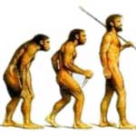 evolve.jpg