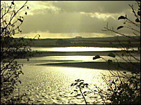 Braunton Burrows