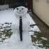 From Raj in Walsall