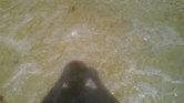 Shadow