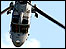 Black Cats with Lynx Helicopters