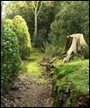 Garden Path