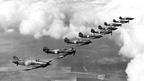 Dogfight