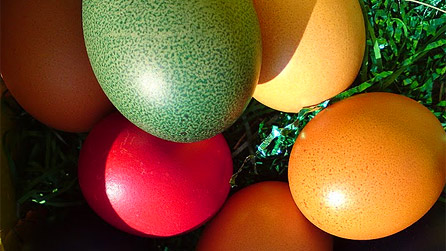 easter_eggs.jpg