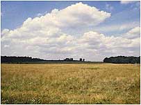 Moorland
