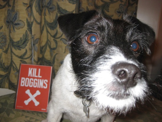 dog2.jpg