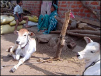 کسان