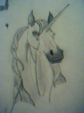Unicorn