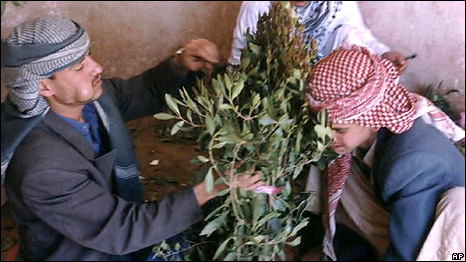 Khat