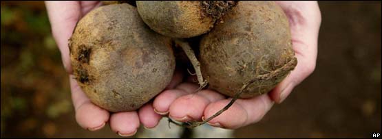 Beetroot