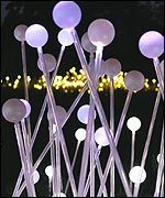 Field of Light