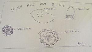 eggs2.jpg