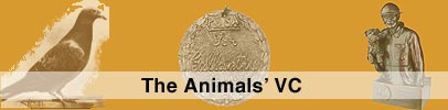 The Aniamls' VC