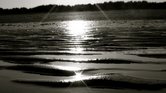 Summer Beach...