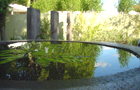 Cleve's garden