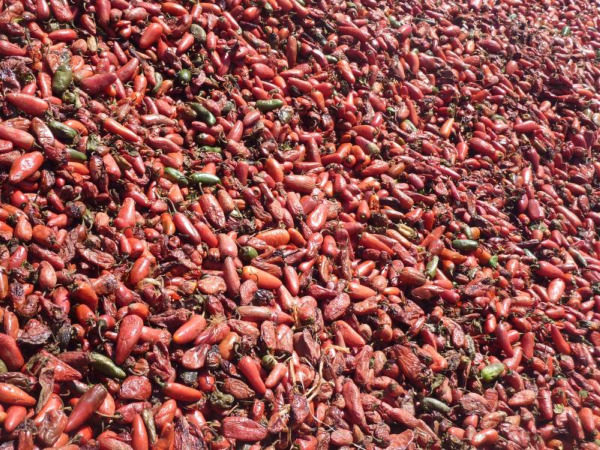 chillies_blog.jpg