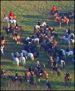 A distant view of the hunt