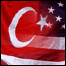 Türk ve Amerikan bayrakları