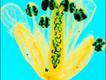 'Self-fertilization' (foto: Dr. Heiti Paves e Birger Ilau, Tallinn University of Technology)