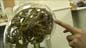 Watch: Clockwork Man