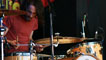 Dinosaur Pile Up