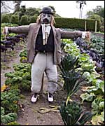 scarecrow