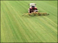 Farming Grass