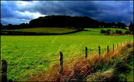 Fields, Beenham