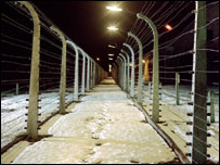 Security fencing
